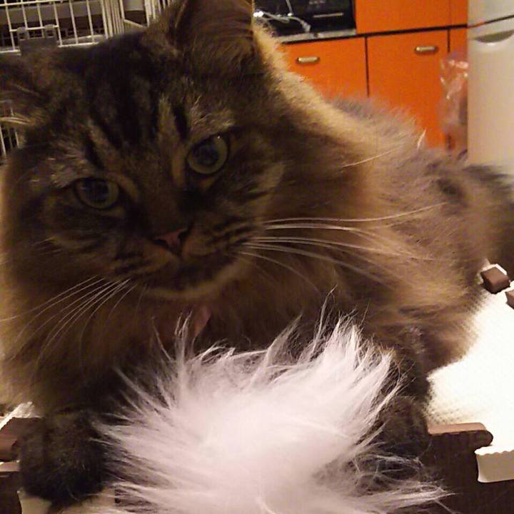 A673cc14 0d1d 4f13 8a34 74b32815f236