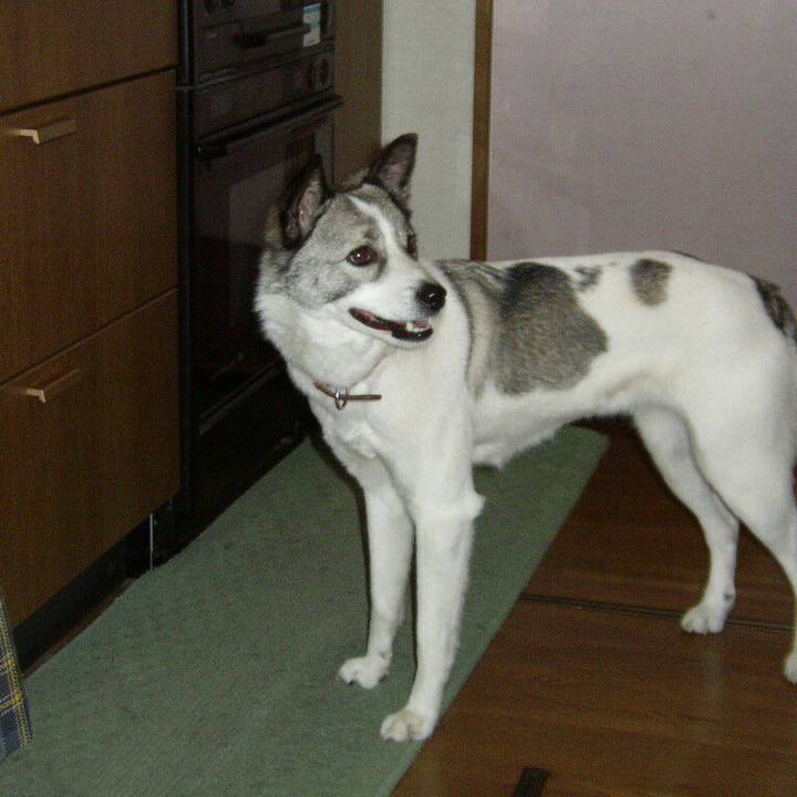 A6740605 1a6b 4d3f b181 956b1a3130cc