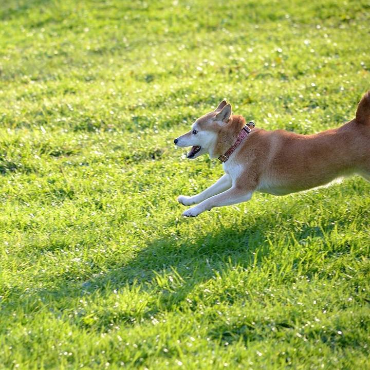 A67413bb 1e54 4af6 ac8e 4ef4575f8905