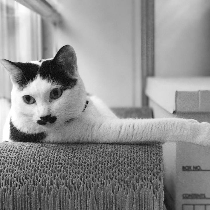 A6753bba 0e2c 47b1 9bcf 0b5763f67a39