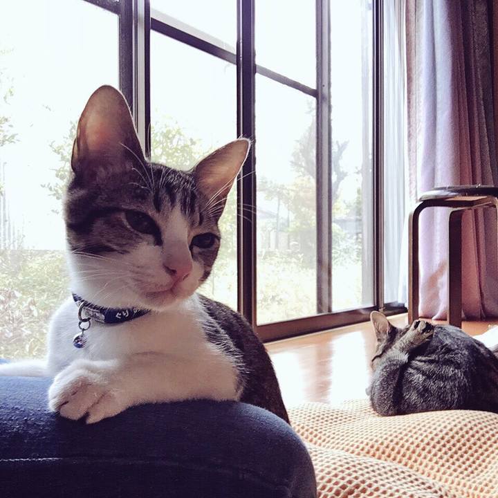 A675b45f f24b 4c74 a6e8 2d021ab99009