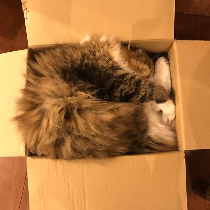 A6763ee3 08d1 421c 9aa9 5cf3df9de0cc