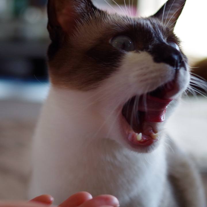 A676b1ec 055f 4b30 9d1f 3df2d755e6d1