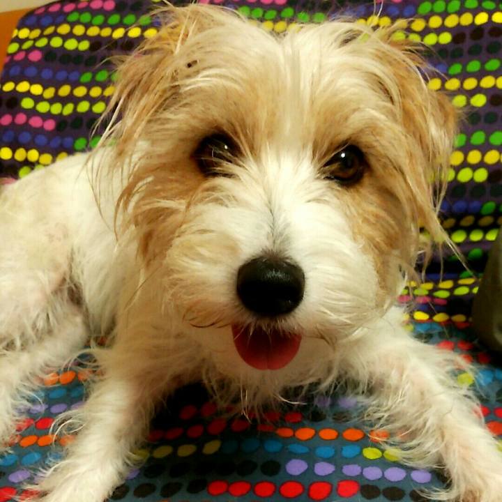 A676e780 1762 4f6c bed2 34f8c6ffe7ff