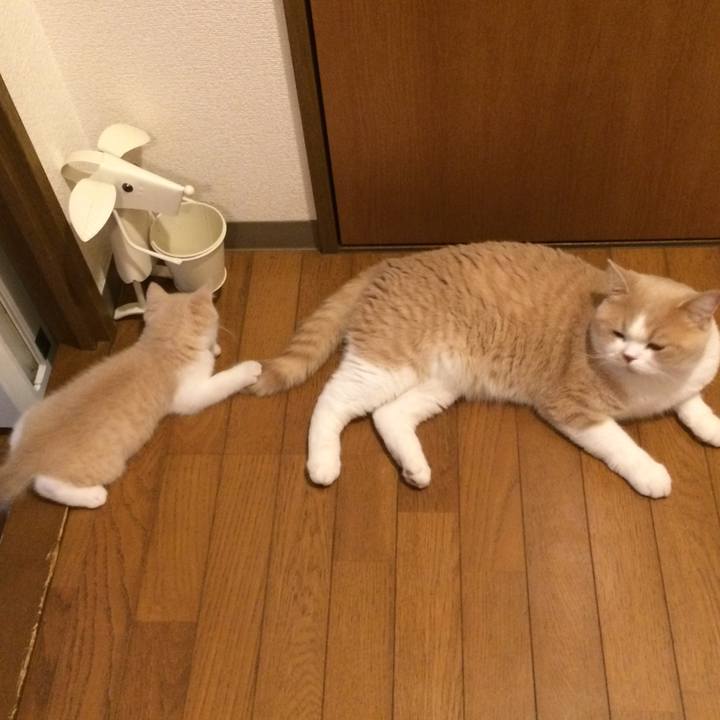 A676fb9b 3e1c 497d 97d6 791ba1b07d43