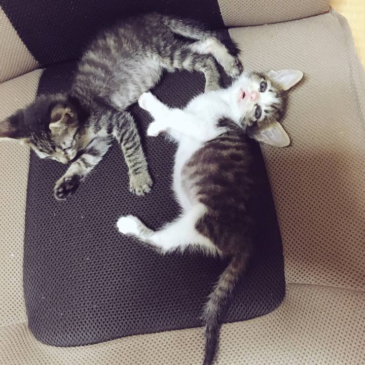 A67716de 1c47 4188 a3b1 d1d29053925c