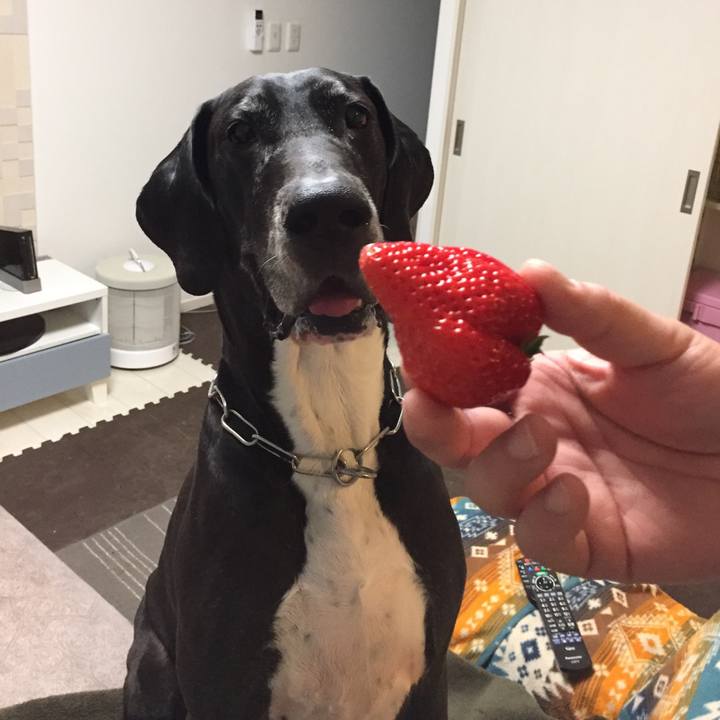 A677e5f3 ec65 4fca 9a65 d0d9341085ea