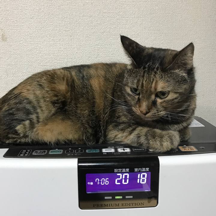 A6780b1d 4b5e 449e 8cde 4287257b0234