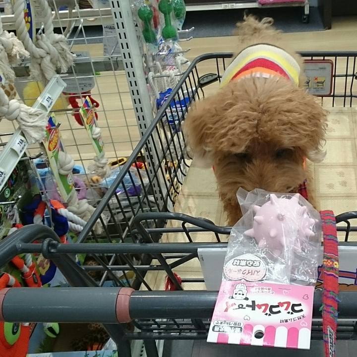 A6784cdb 5904 4be4 b262 3b152120b0f2