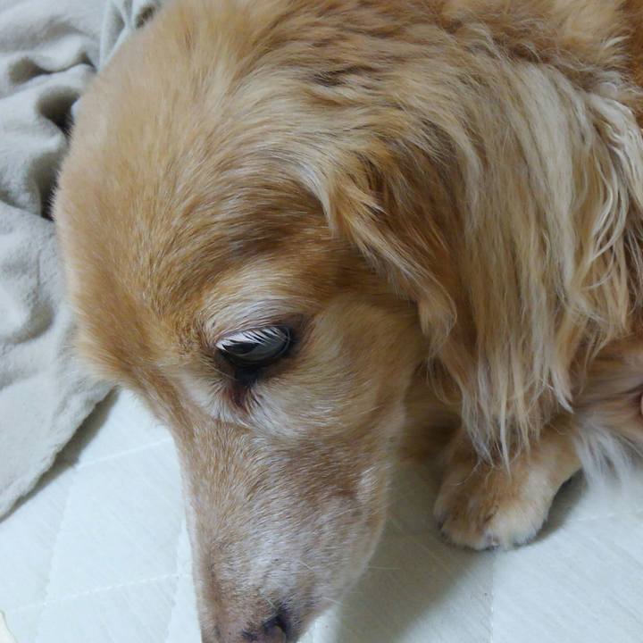A67898a0 2190 4f39 90de 59e740eb8c46