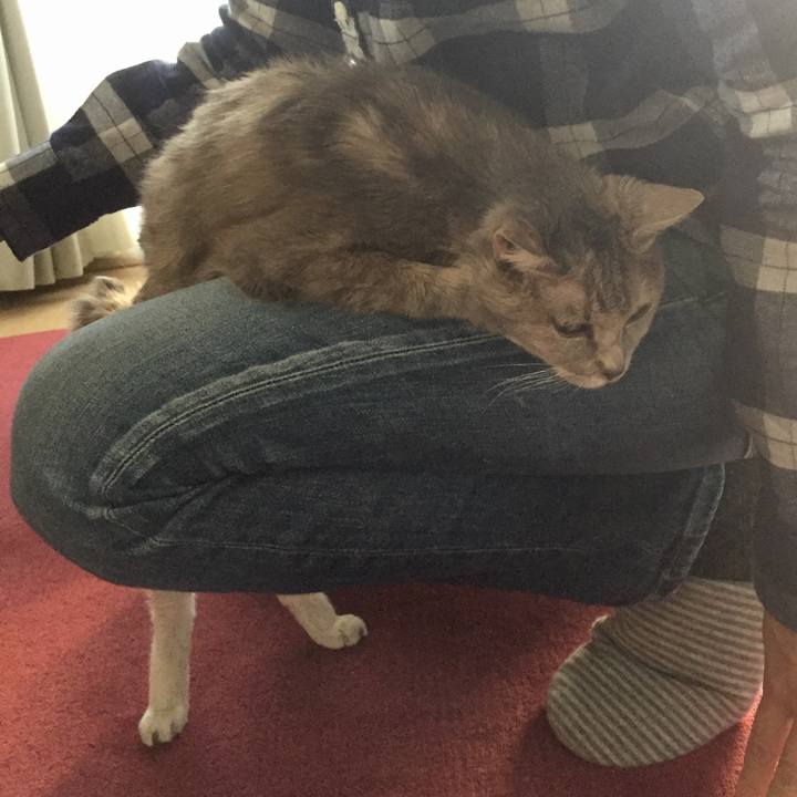 A678ed94 128e 4241 b15c 3a0564760d12