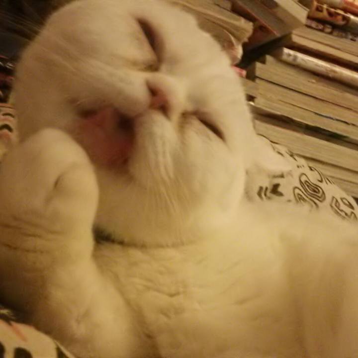 A6794c8e bc1f 41f0 9e19 4c22e3a1ed99