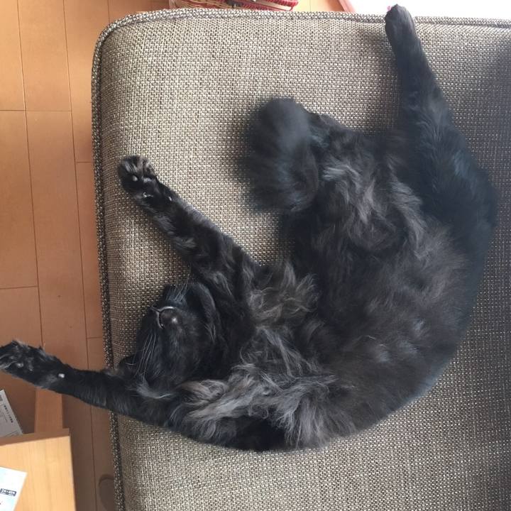 A6795316 5a3d 4c22 beab 8c2ae7a2b542