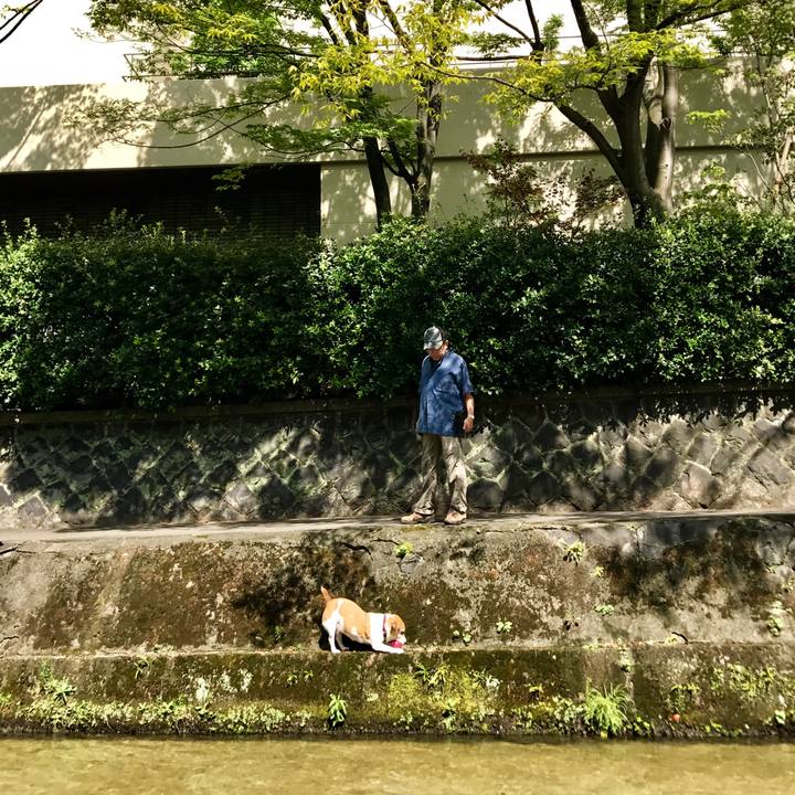 A6799925 666f 4c40 84d1 b272c10777f2