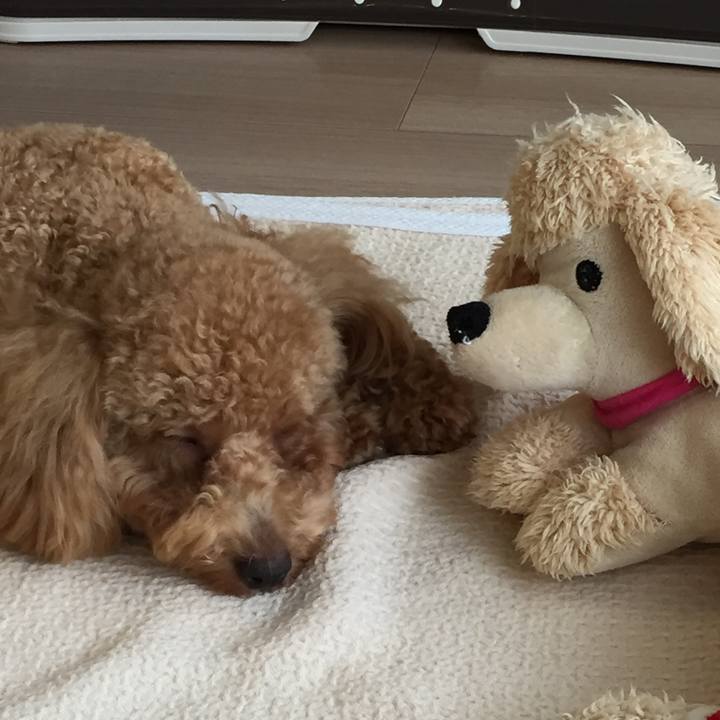 A679c41b 3398 4315 b573 25af220fb7d7