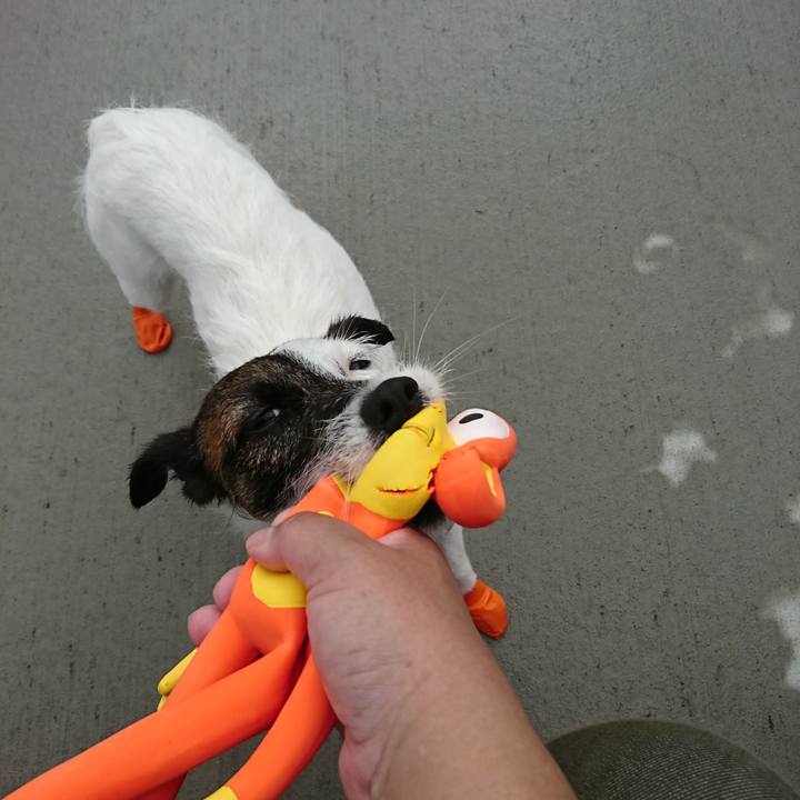 A679e097 af69 4251 8ff1 e90f1f665450