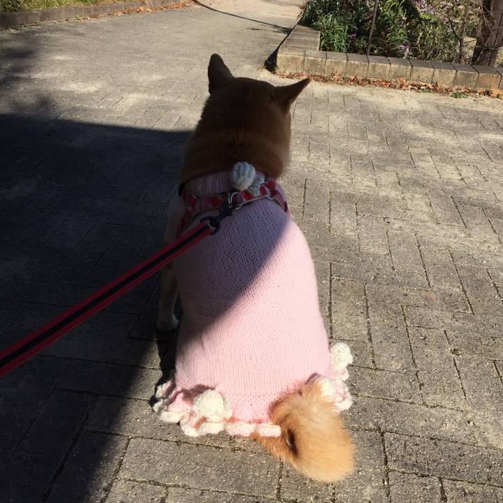 A67a53bb e8f6 44af a202 ab83455f8d66