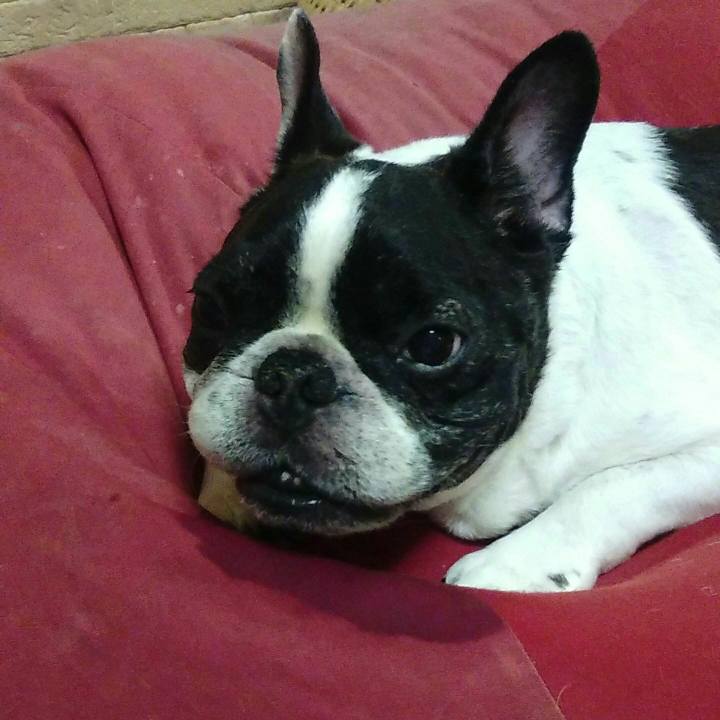 A67aa3ce a8b6 481f a88b 159469743be4