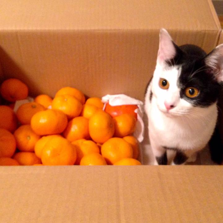 A67b6017 20d1 4f00 818b b48dfded96c1