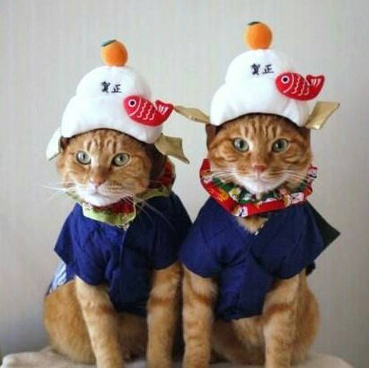 A67d0107 56a5 43ea b9d4 b9e4f2f768bc