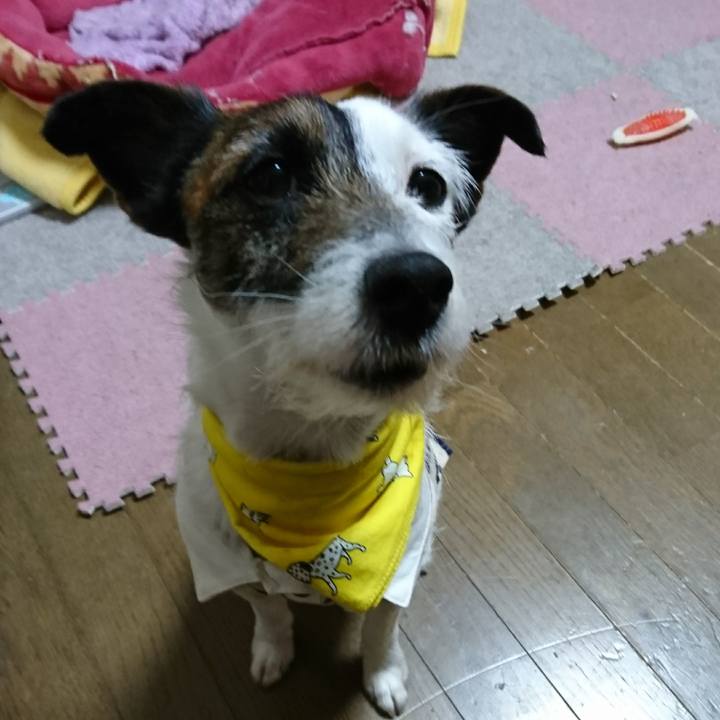 A67dbcd7 9712 4e59 a945 03fdfc5dd8d1