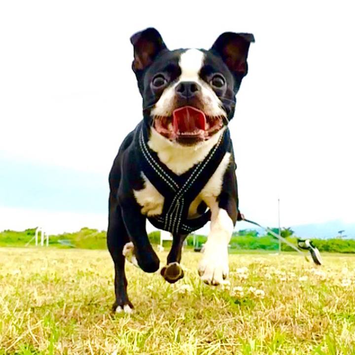 A67e08d2 d13f 4109 a188 064f7977d691