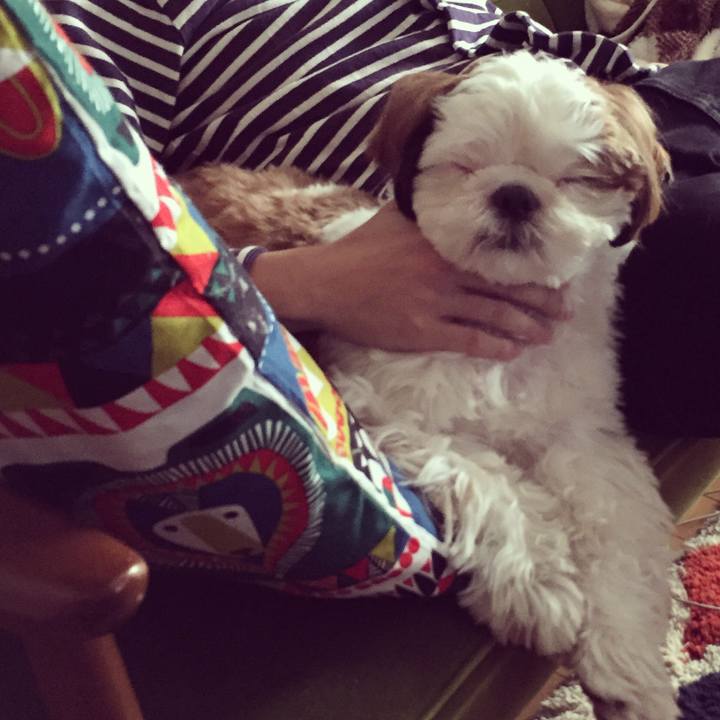 A67e1dff e500 48f6 924d 20f6ee5a3ae2