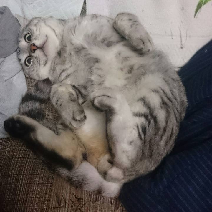 A67e3640 899b 445b 8540 db2259dd1e93