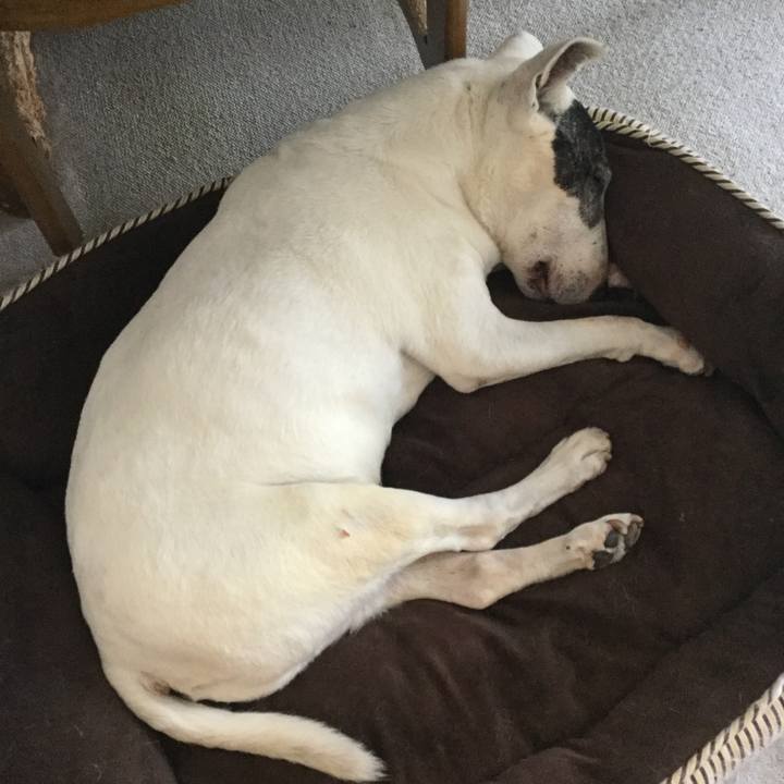 A67f55c7 0d65 45a1 92d3 4e649885863e