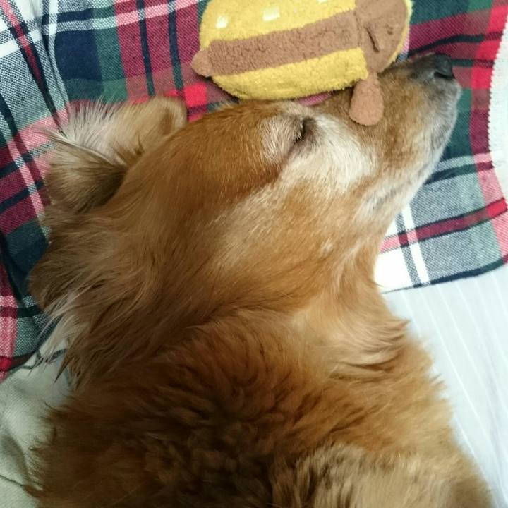 A67f722f 617d 48db 92fc 161f8a3a5c56