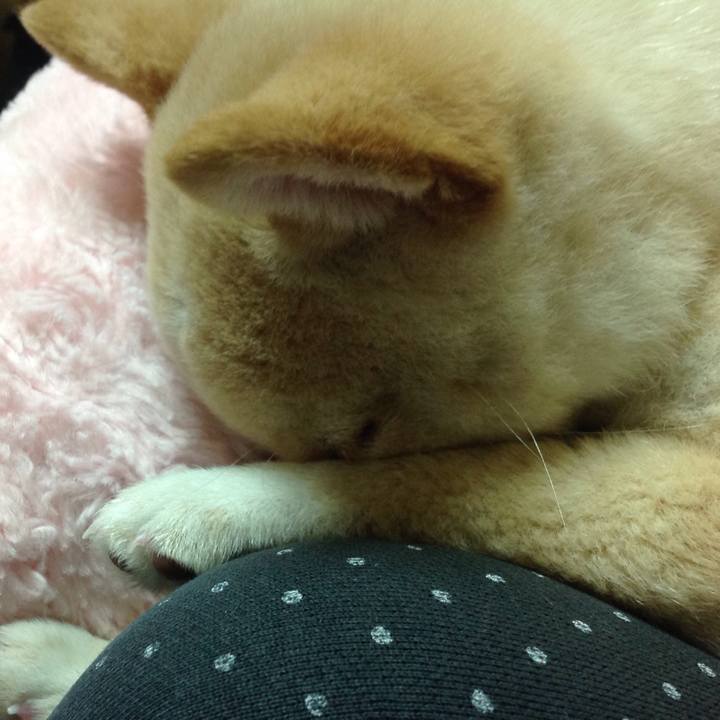 A67f8b34 0f56 4593 af69 49ec4ff7f3f9