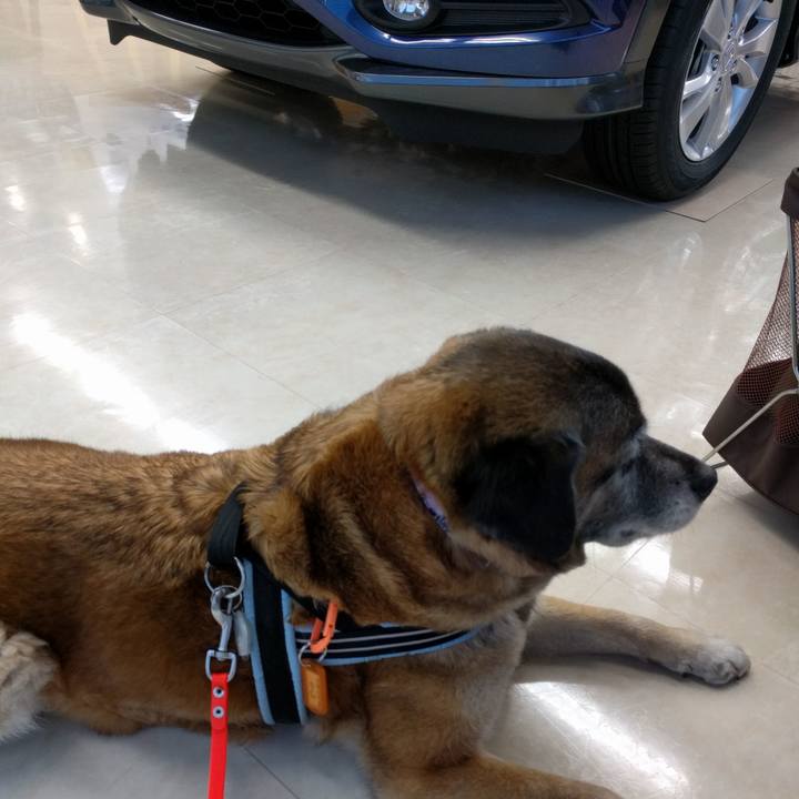 A680c477 5ee8 43fa 9f92 ecf58e77c5c9