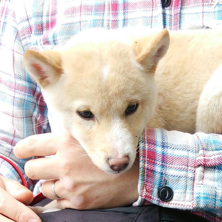 A680df64 f46d 424d bfb8 368ef42caebf