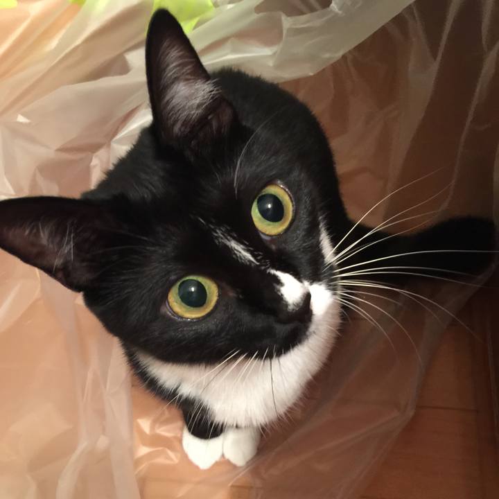 A6815a73 bc54 4c3a 81fd c983a0bf29a3