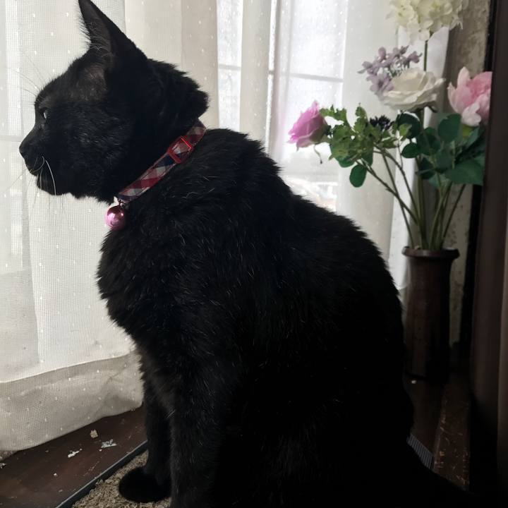 A68179e3 2fff 4d1d abc5 23ba4892b526