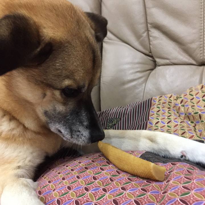 A681d103 4efa 48f6 b1ae b6fc09b4bc04