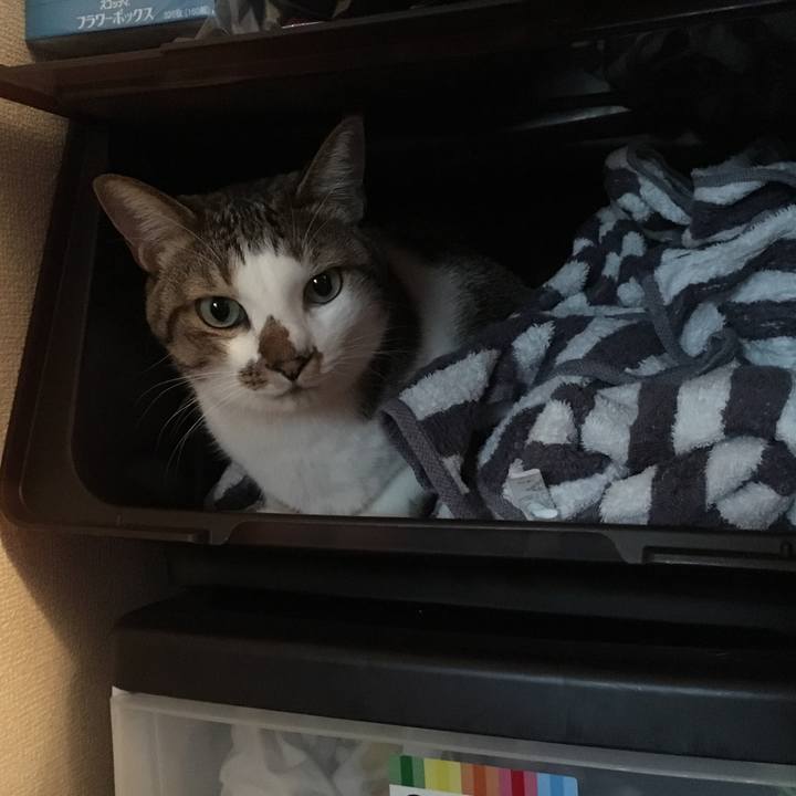 A681e4f2 339d 44cb a91a f82e67ae5fd2