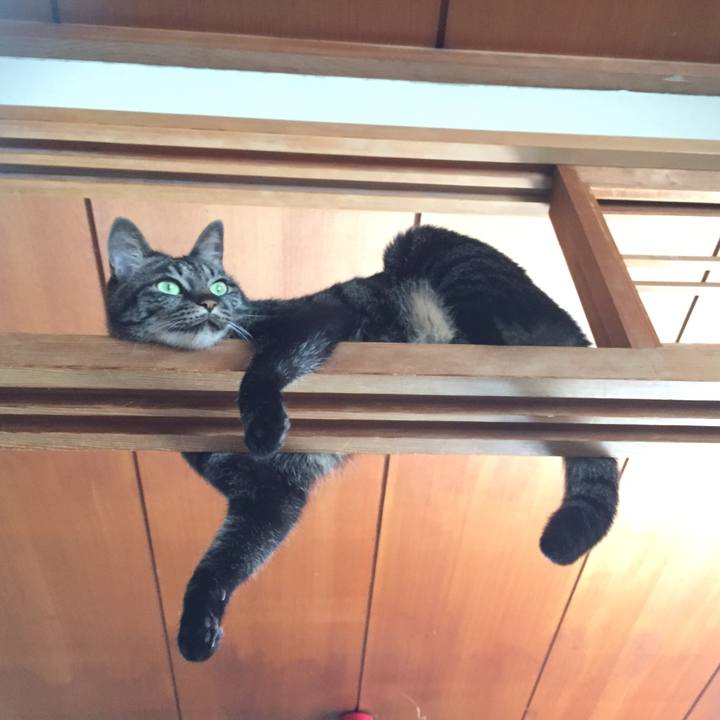 A6826d14 26bc 437f bb7e 8eeb292caf6a