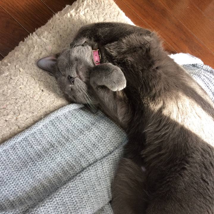 A6836d65 4319 485e 8ed6 85bf1c80f756