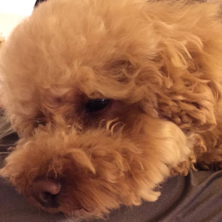 A6836de9 8289 4ad6 8084 43e8d1f022ea