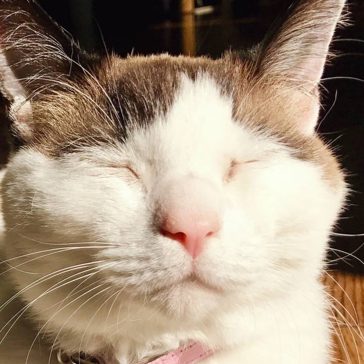 A68393e0 cecc 40c5 bbb5 88640c9f6ba9