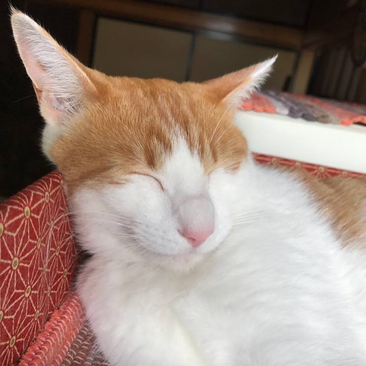 A683dcb1 fe02 4396 a6ba d88ae1536e2e