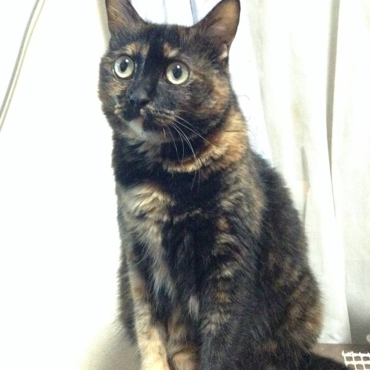 A684dacb 4a36 4798 8875 0edaaac1b622