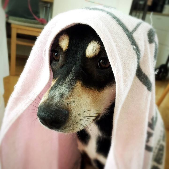 A684eb7a 7b3c 4413 b235 e4243ab0dc38