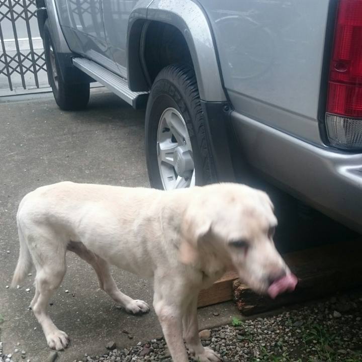 A684f12d c2a9 48ea ba85 1bb573446dea