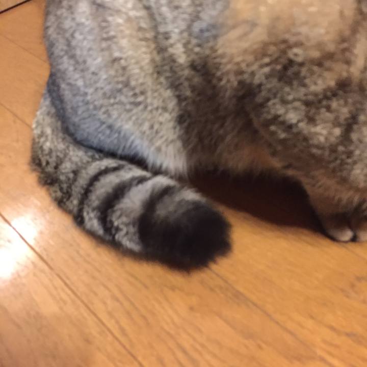 A6858da1 1e65 4ea8 92ec 2c9bdeab0ee8