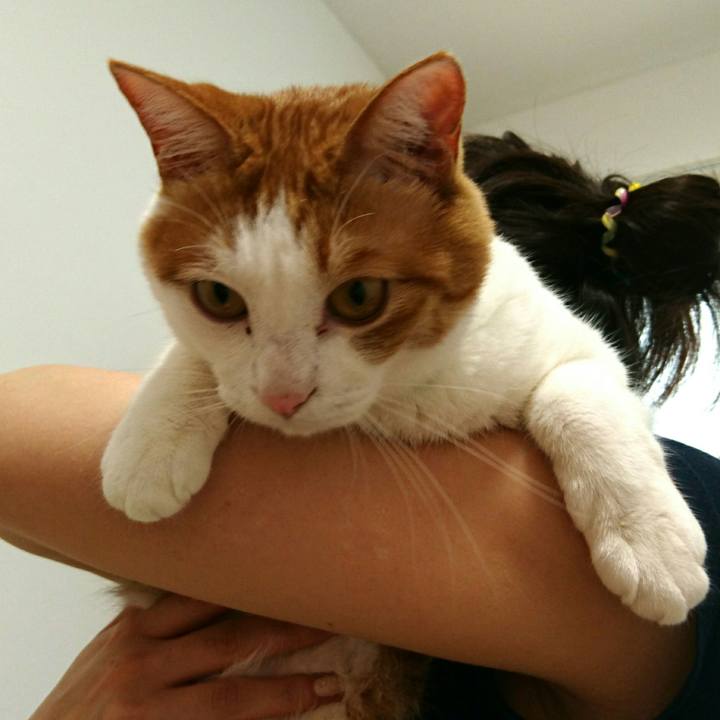 A6859870 def7 4f96 8ea2 1e6137ff16ed