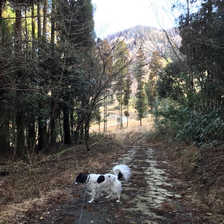 A6860f04 c246 4df5 8f9f 318ff40364aa