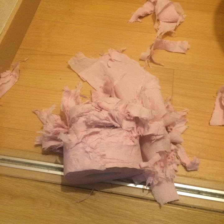 A6868580 e703 4401 95ab 655d10eee34f