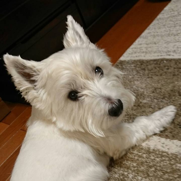 A687698f dc7f 4d64 8360 3eb9eefd748a